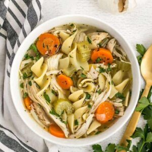 Best Ever Chicken Noodle Soup w/ Voltage Garlic Bread